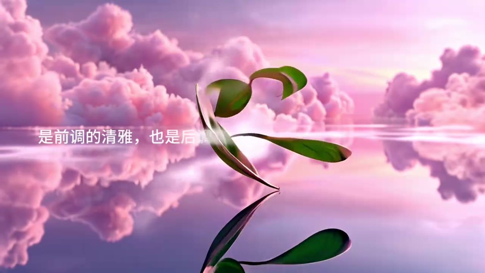 牛茶 · 滋养你的东方气韵 2